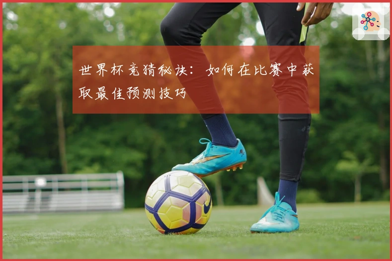 世界杯竞猜秘诀：如何在比赛中获取最佳预测技巧