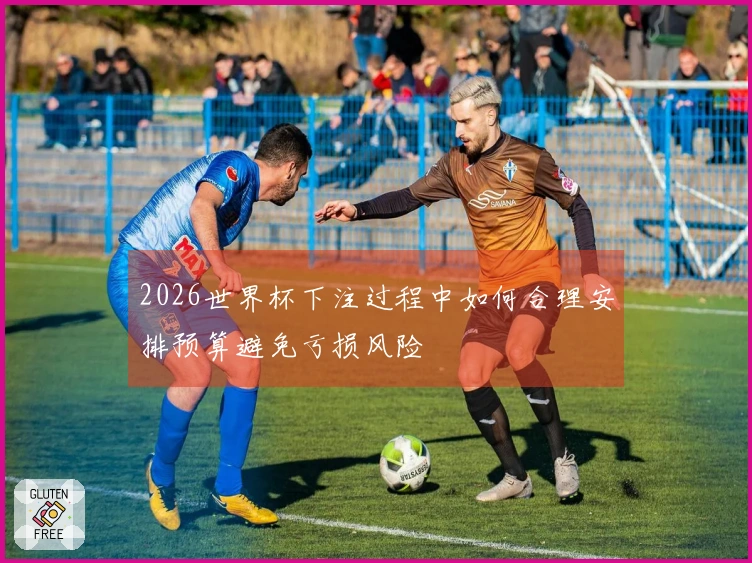 2026世界杯下注过程中如何合理安排预算避免亏损风险