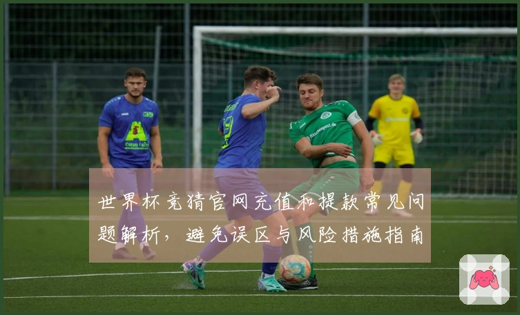 世界杯竞猜官网充值和提款常见问题解析,避免误区与风险措施指南