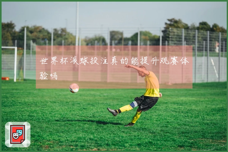 世界杯滚球投注真的能提升观赛体验吗