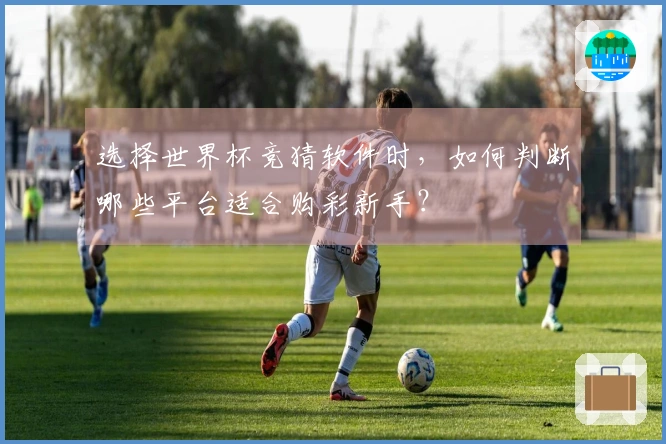 选择世界杯竞猜软件时，如何判断哪些平台适合购彩新手？
