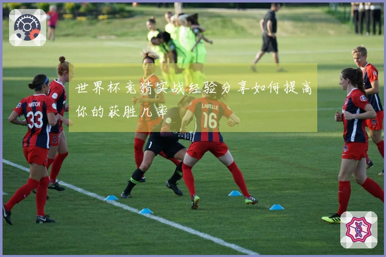 世界杯竞猜实战经验分享如何提高你的获胜几率
