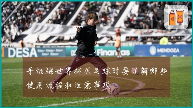 手机端世界杯买足球时要了解哪些使用流程和注意事项