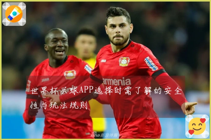 世界杯买球APP选择时需了解的安全性与玩法规则
