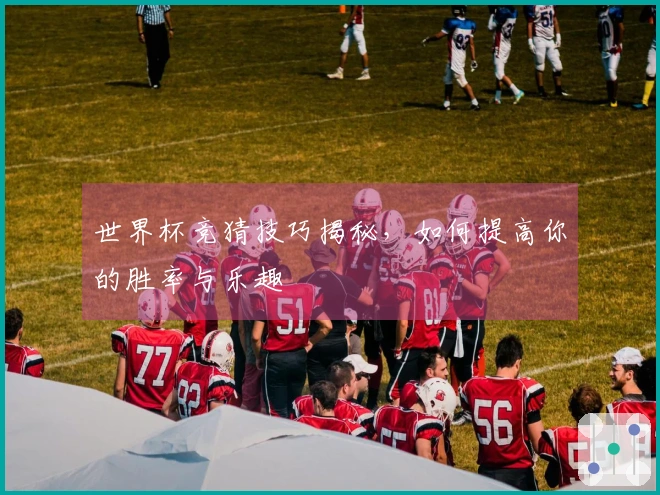 世界杯竞猜技巧揭秘，如何提高你的胜率与乐趣
