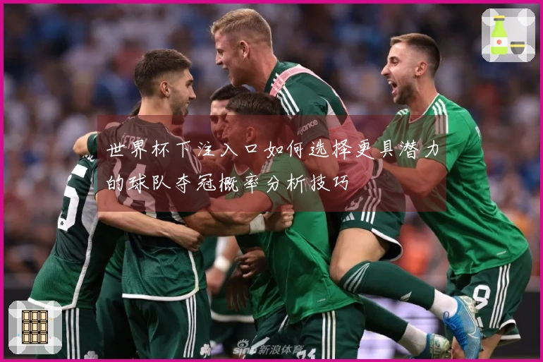 世界杯下注入口如何选择更具潜力的球队夺冠概率分析技巧