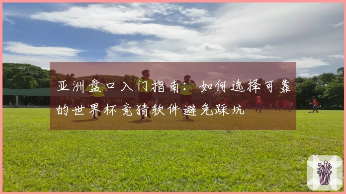 亚洲盘口入门指南：如何选择可靠的世界杯竞猜软件避免踩坑