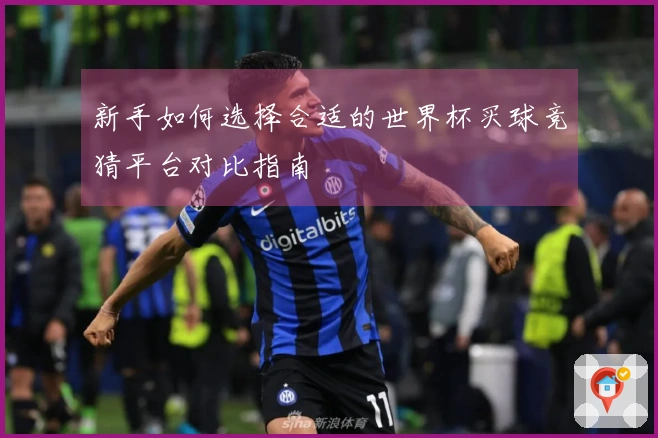 新手如何选择合适的世界杯买球竞猜平台对比指南