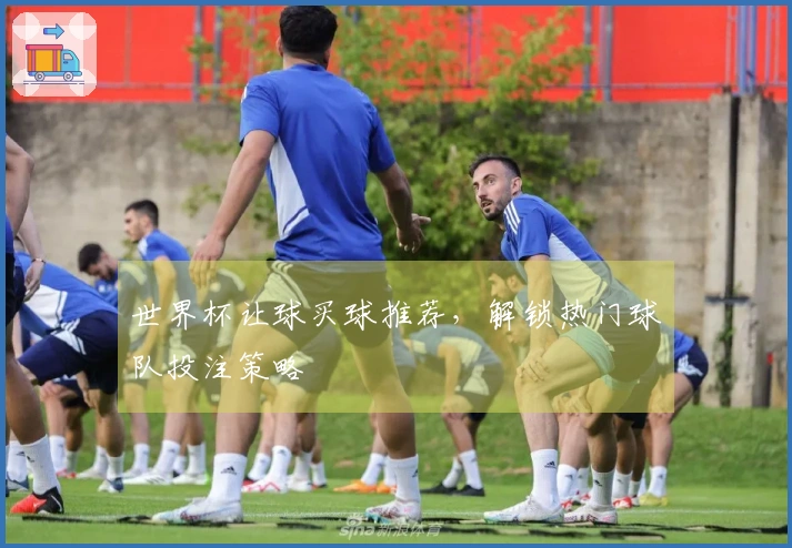 世界杯让球买球推荐，解锁热门球队投注策略