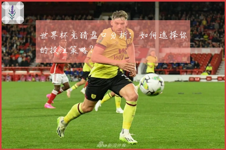 世界杯竞猜盘口分析：如何选择你的投注策略？