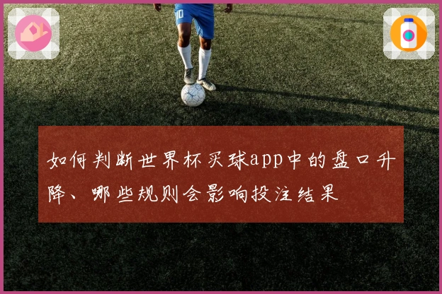 如何判断世界杯买球app中的盘口升降、哪些规则会影响投注结果
