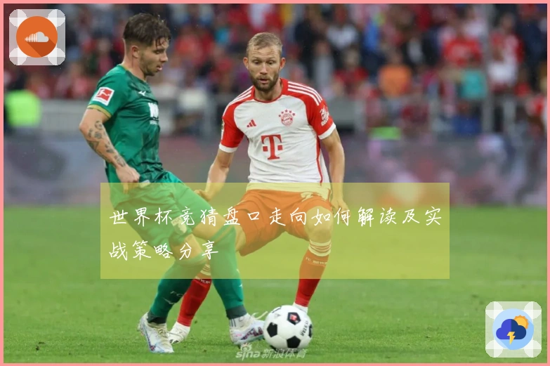 世界杯竞猜盘口走向如何解读及实战策略分享