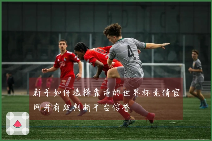 新手如何选择靠谱的世界杯竞猜官网并有效判断平台信誉