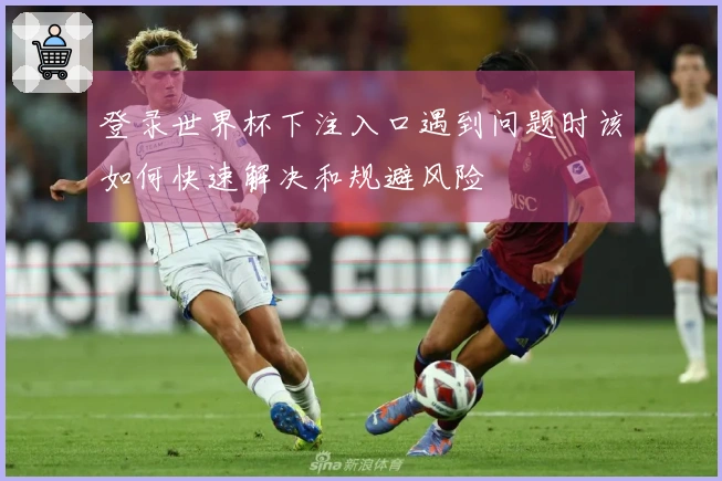 登录世界杯下注入口遇到问题时该如何快速解决和规避风险