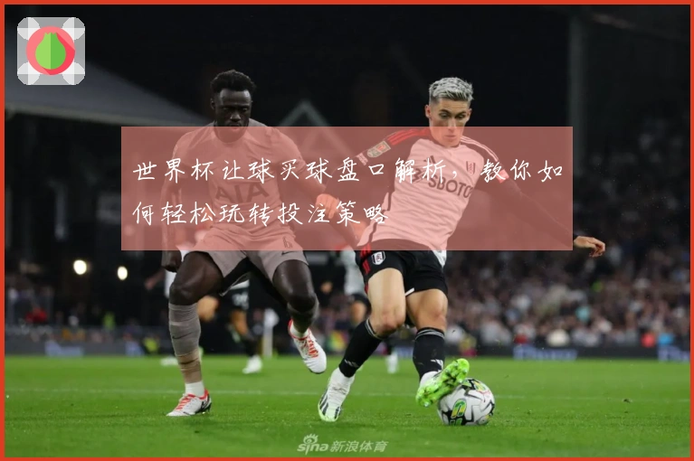 世界杯让球买球盘口解析，教你如何轻松玩转投注策略