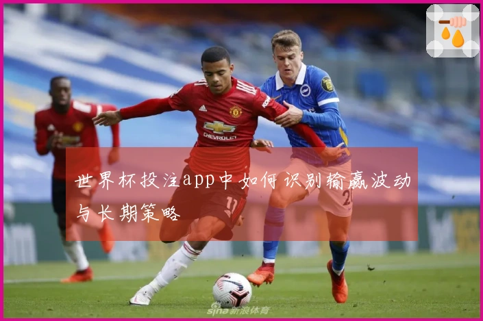 世界杯投注app中如何识别输赢波动与长期策略
