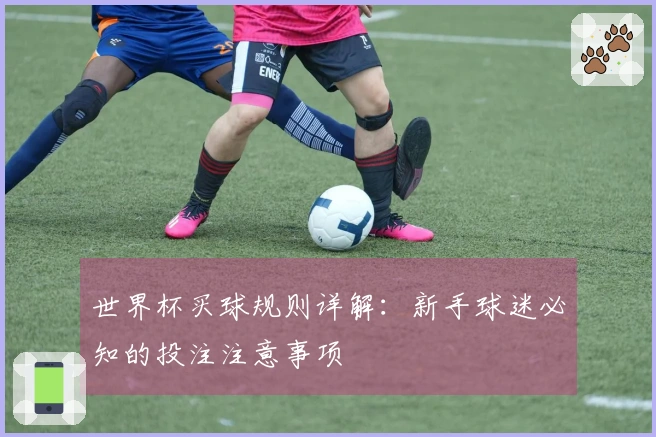 世界杯买球规则详解：新手球迷必知的投注注意事项