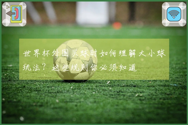 世界杯外围买球时如何理解大小球玩法？这些规则你必须知道