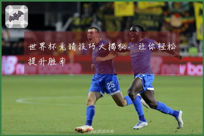 世界杯竞猜技巧大揭秘，让你轻松提升胜率