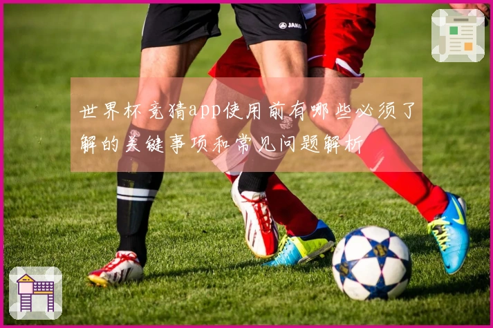 世界杯竞猜app使用前有哪些必须了解的关键事项和常见问题解析