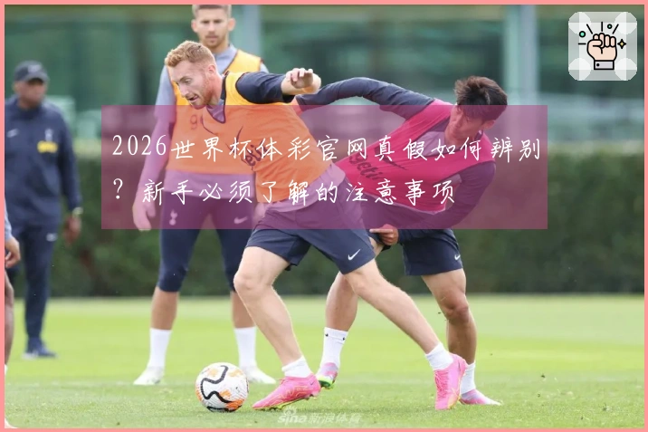 2026世界杯体彩官网真假如何辨别？新手必须了解的注意事项