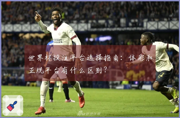 世界杯投注平台选择指南：体彩和正规平台有什么区别？
