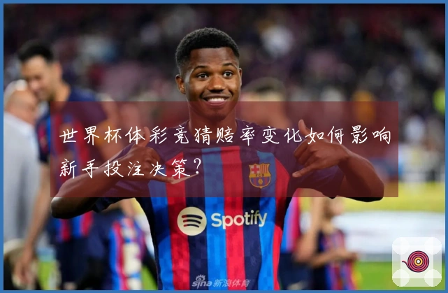 世界杯体彩竞猜赔率变化如何影响新手投注决策？