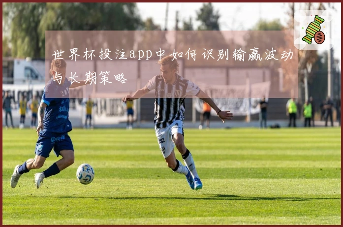 世界杯投注app中如何识别输赢波动与长期策略