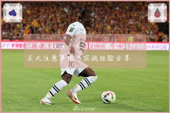 世界杯投注平台 APP下载前必知的五大注意事项与实战经验分享