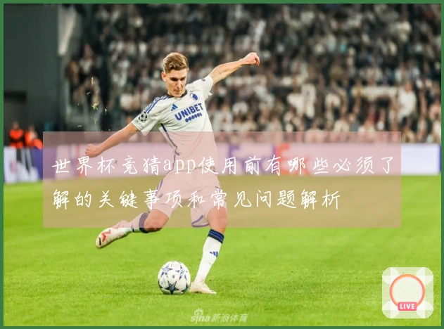 世界杯竞猜app使用前有哪些必须了解的关键事项和常见问题解析