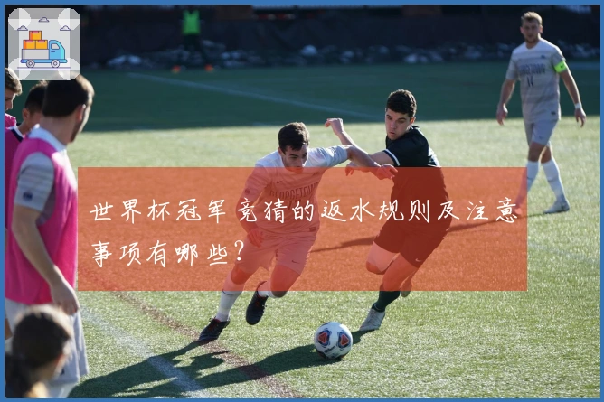 世界杯冠军竞猜的返水规则及注意事项有哪些？