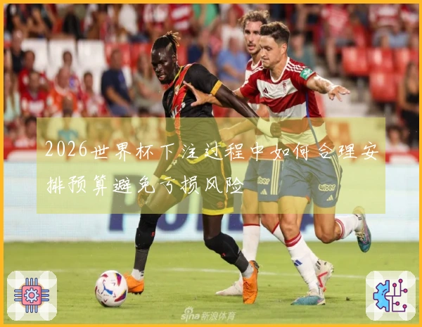 2026世界杯下注过程中如何合理安排预算避免亏损风险