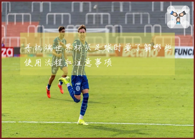 手机端世界杯买足球时要了解哪些使用流程和注意事项