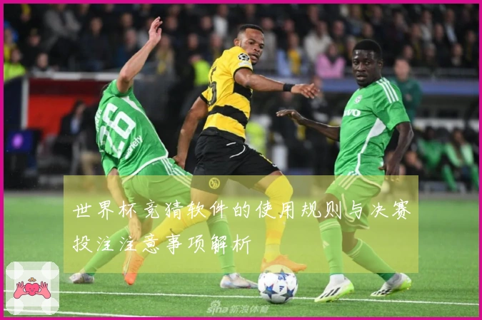 世界杯竞猜软件的使用规则与决赛投注注意事项解析