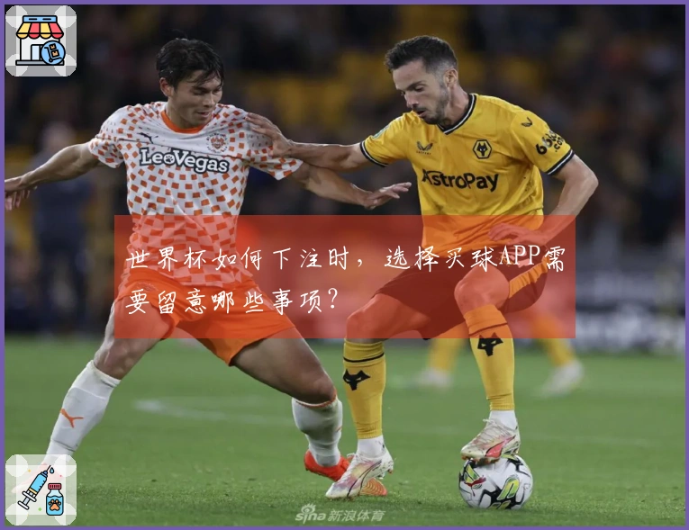 世界杯如何下注时，选择买球APP需要留意哪些事项？