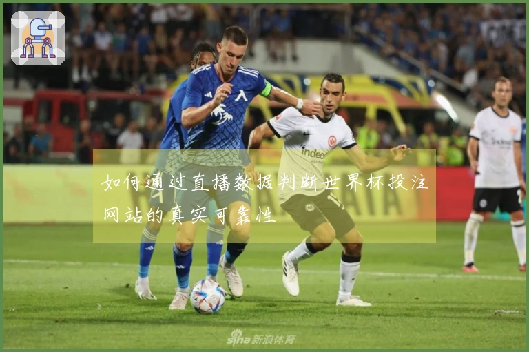 如何通过直播数据判断世界杯投注网站的真实可靠性